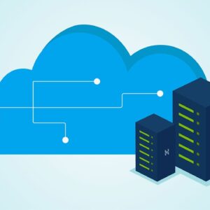 Website Hosting & Management